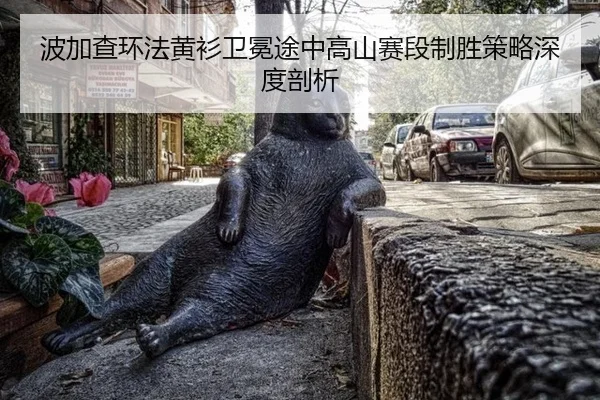 bo-jia-cha-huan-fa-huang-shan-wei-mian-tu-zhong-gao-shan-sai-duan-zhi-sheng-ce-lve-shen-du-pou-xi-2-735.jpg