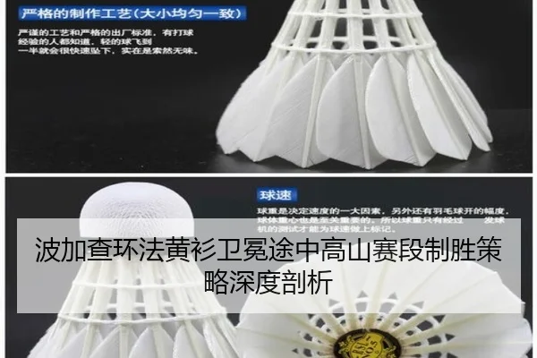 bo-jia-cha-huan-fa-huang-shan-wei-mian-tu-zhong-gao-shan-sai-duan-zhi-sheng-ce-lve-shen-du-pou-xi-3-470.jpg
