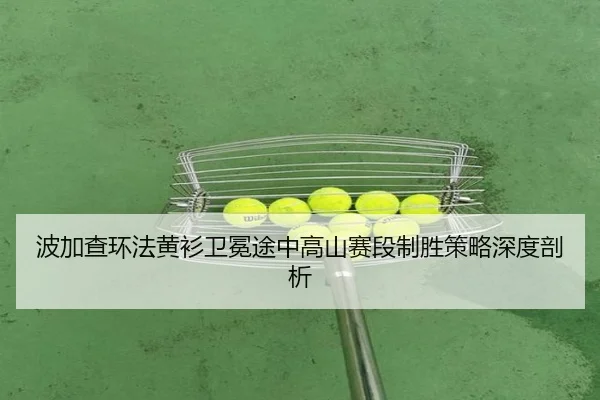 波加查环法黄衫卫冕途中高山赛段制胜策略深度剖析