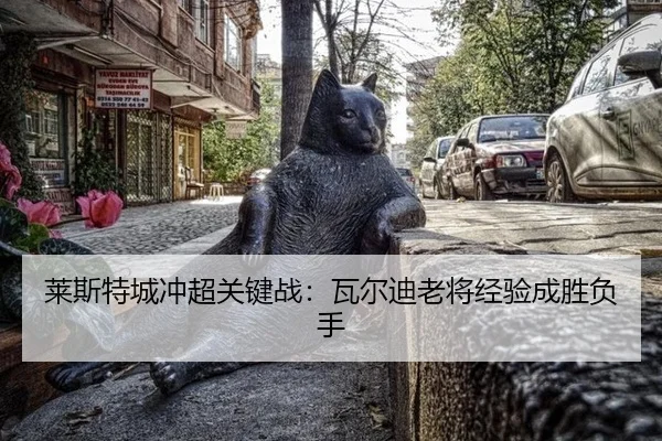 lai-si-te-cheng-chong-chao-guan-jian-zhan-wa-er-di-lao-jiang-jing-yan-cheng-sheng-fu-shou-2-336.jpg
