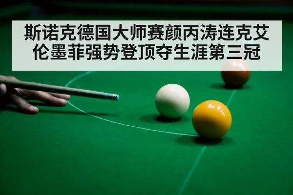 professional snooker player