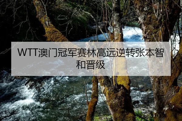 WTT澳门冠军赛林高远逆转张本智和晋级